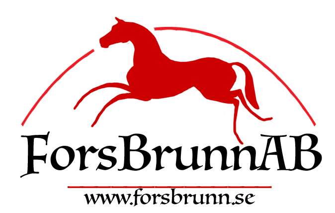 rodoriginalbage-copy