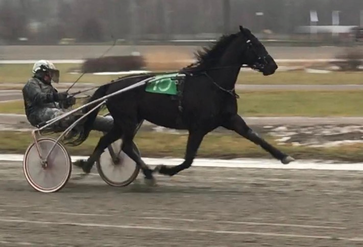 16178470_1377795345585614_942833529825808471_o